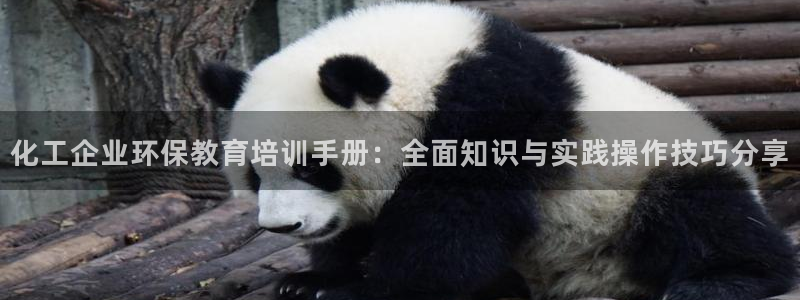 亿万第一季字幕:化工企业环保教育培训手册:全面知识与实践操作技巧分享